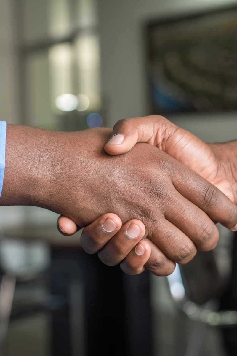 Poignee de main professionnelle